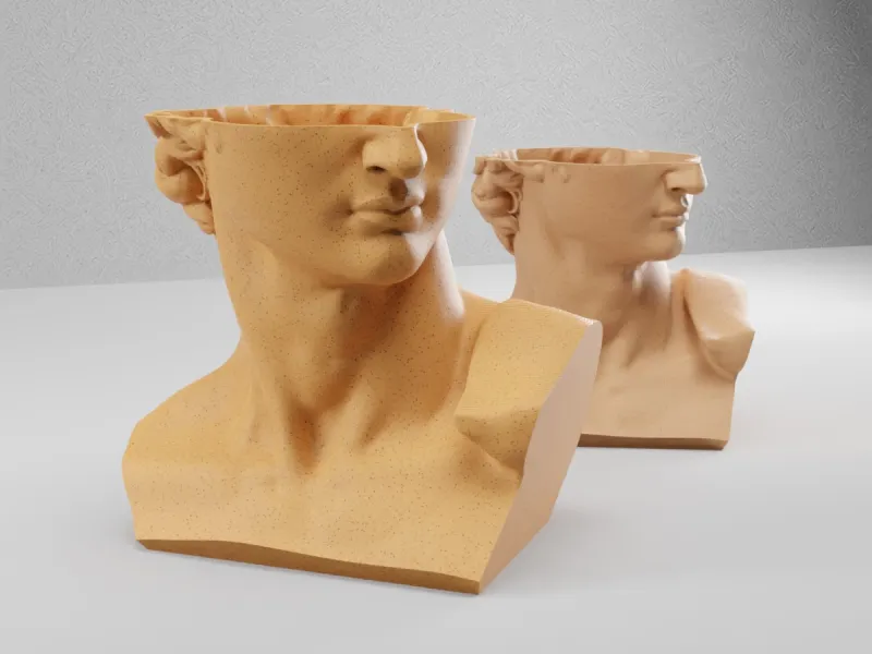 David 花盆