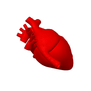 Home print settings: 心脏