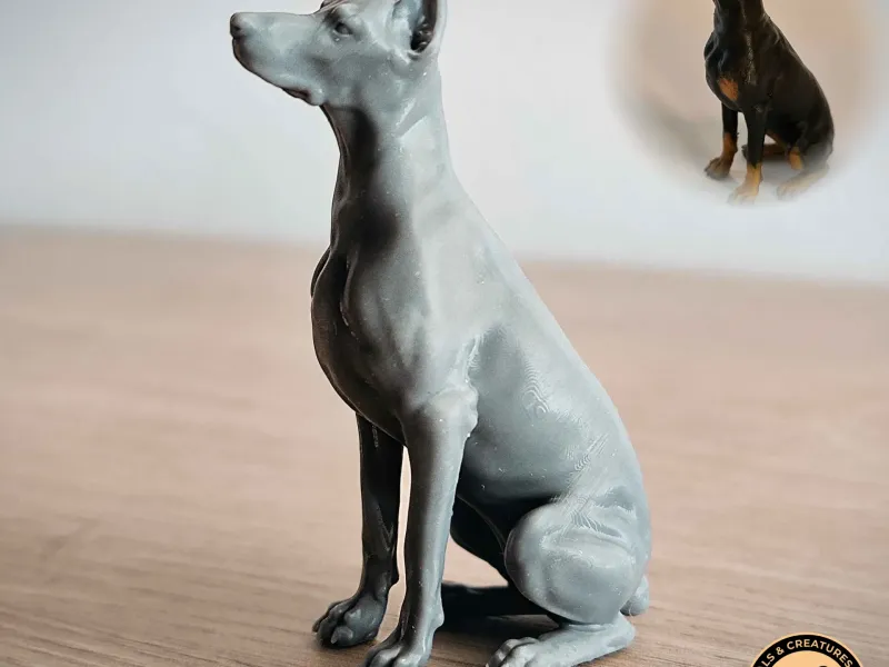 杜宾犬
