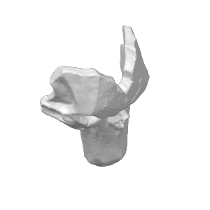 Home print settings: 死亡面具