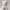 熊