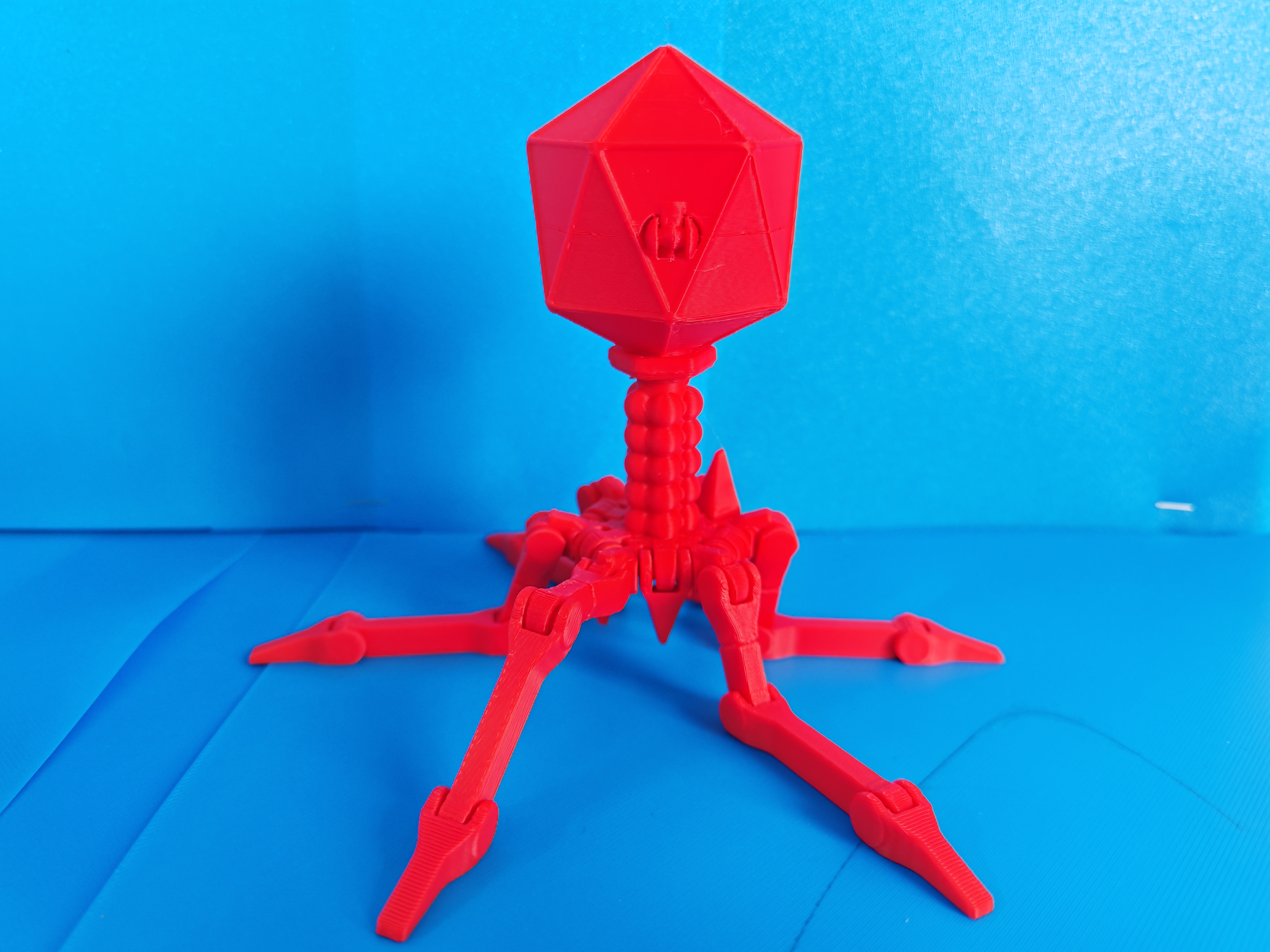 Home print settings: 可爱的一体成型免支撑柔性 T4 噬菌体