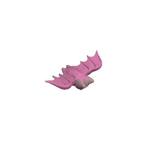 蝙蝠