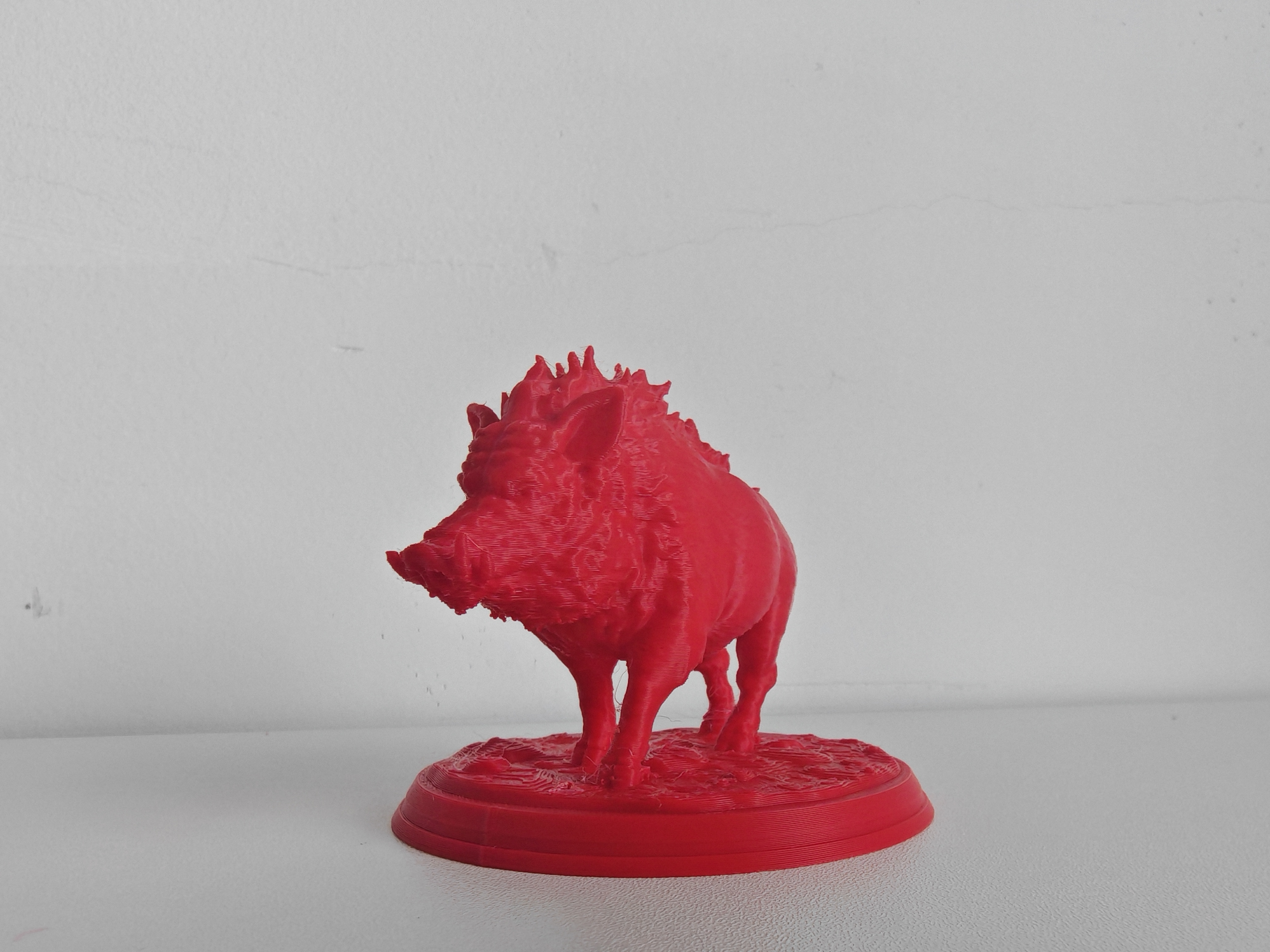 Home print settings: 野猪