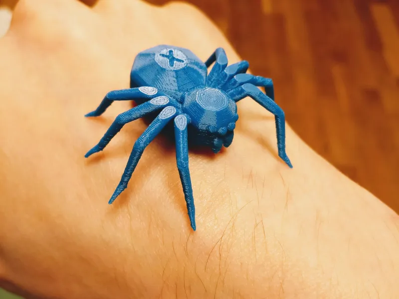 折磨蜘蛛，3D 打印机折磨测试