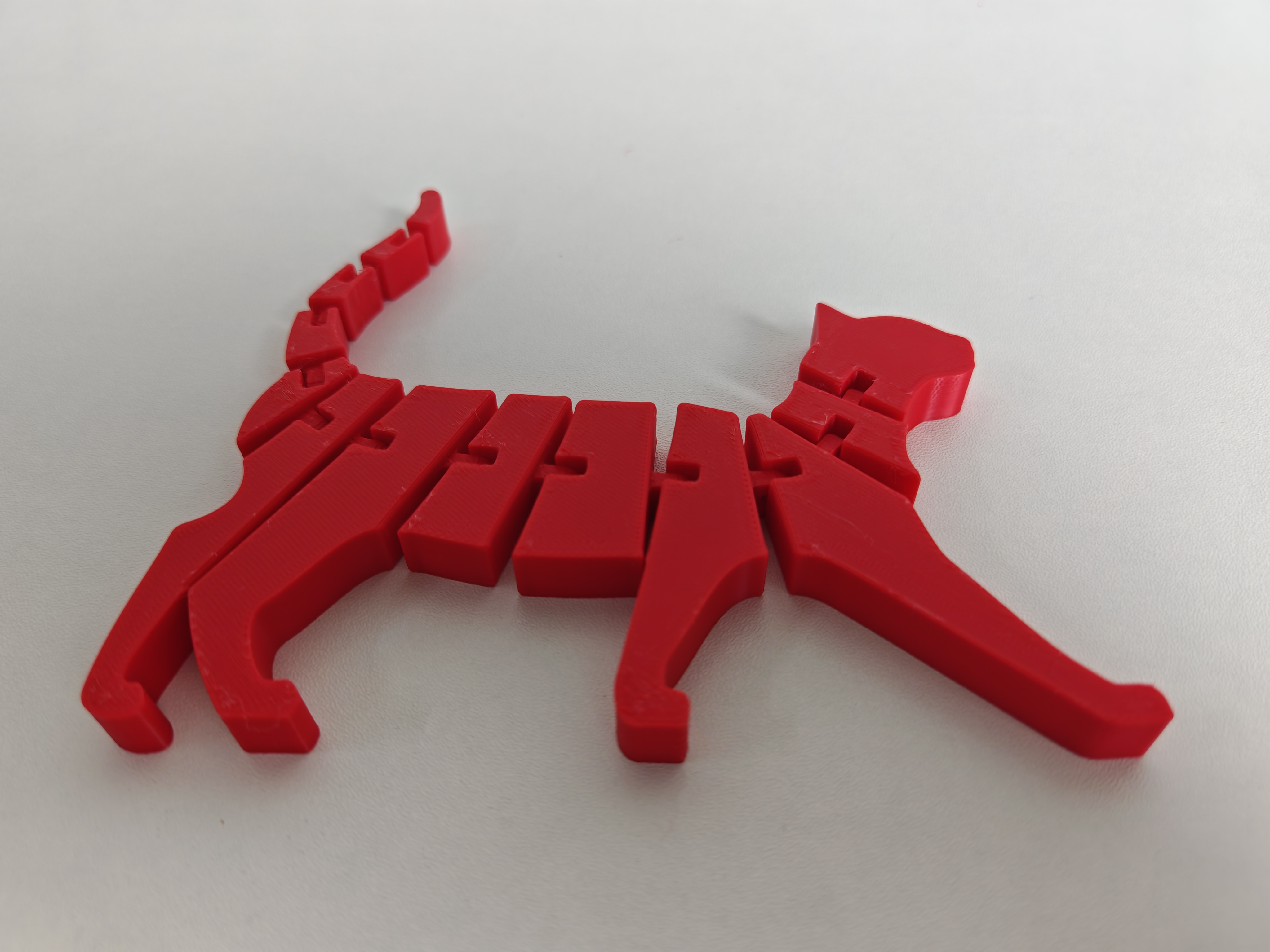 Home print settings: 柔性猫