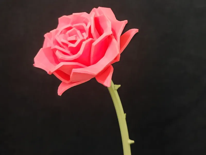 玫瑰