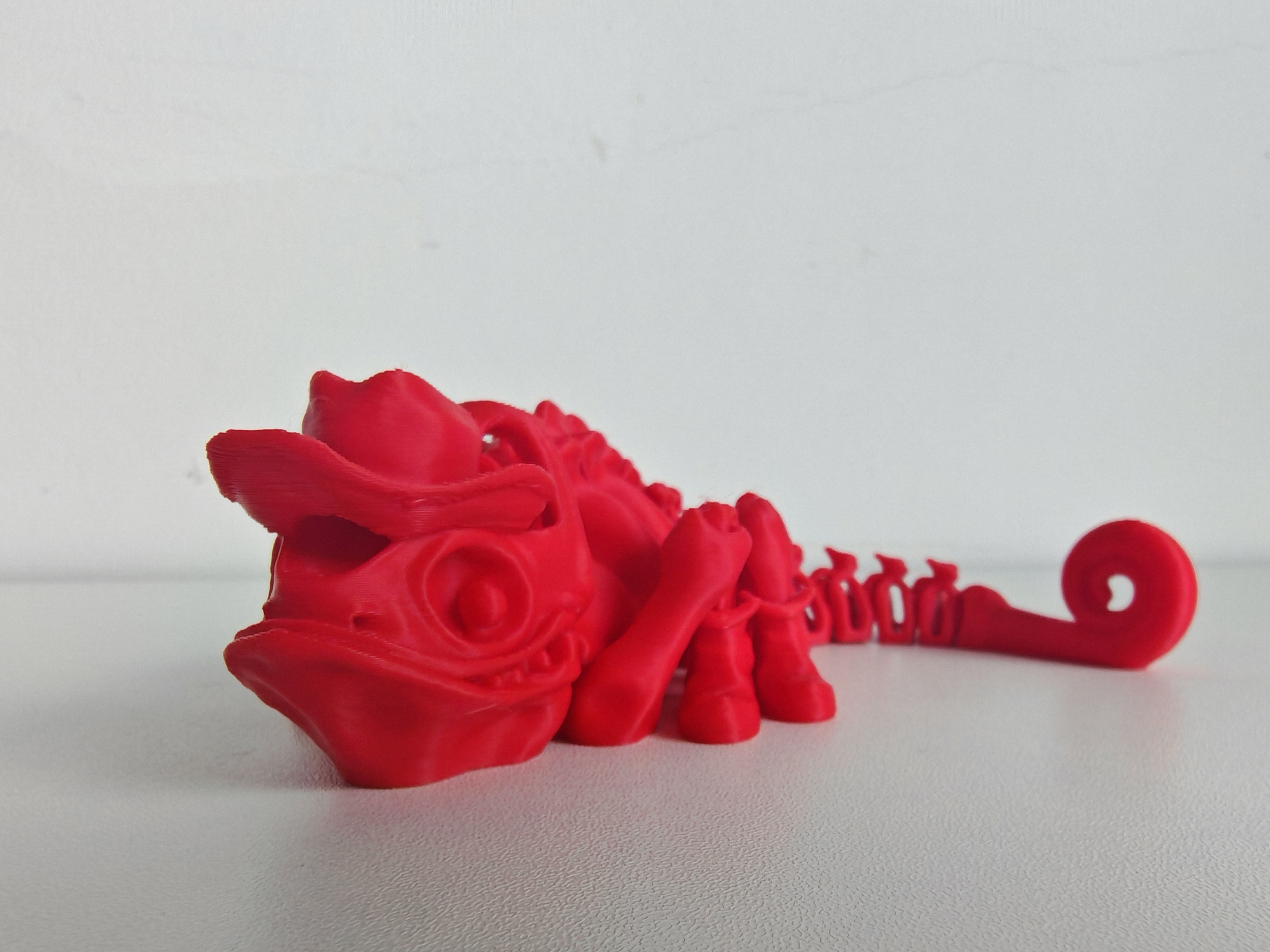 Home print settings: 柔性警长 变色龙/蜥蜴