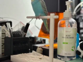鹦鹉鸟架子