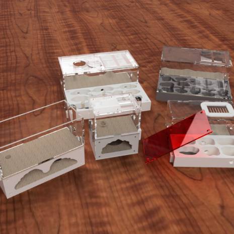 avatar of IllegalNickname-4536466185