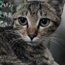 avatar of 用户6522589101