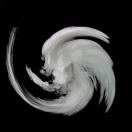 avatar of WM