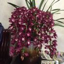 avatar of 哈哈哈哈哈哈哈