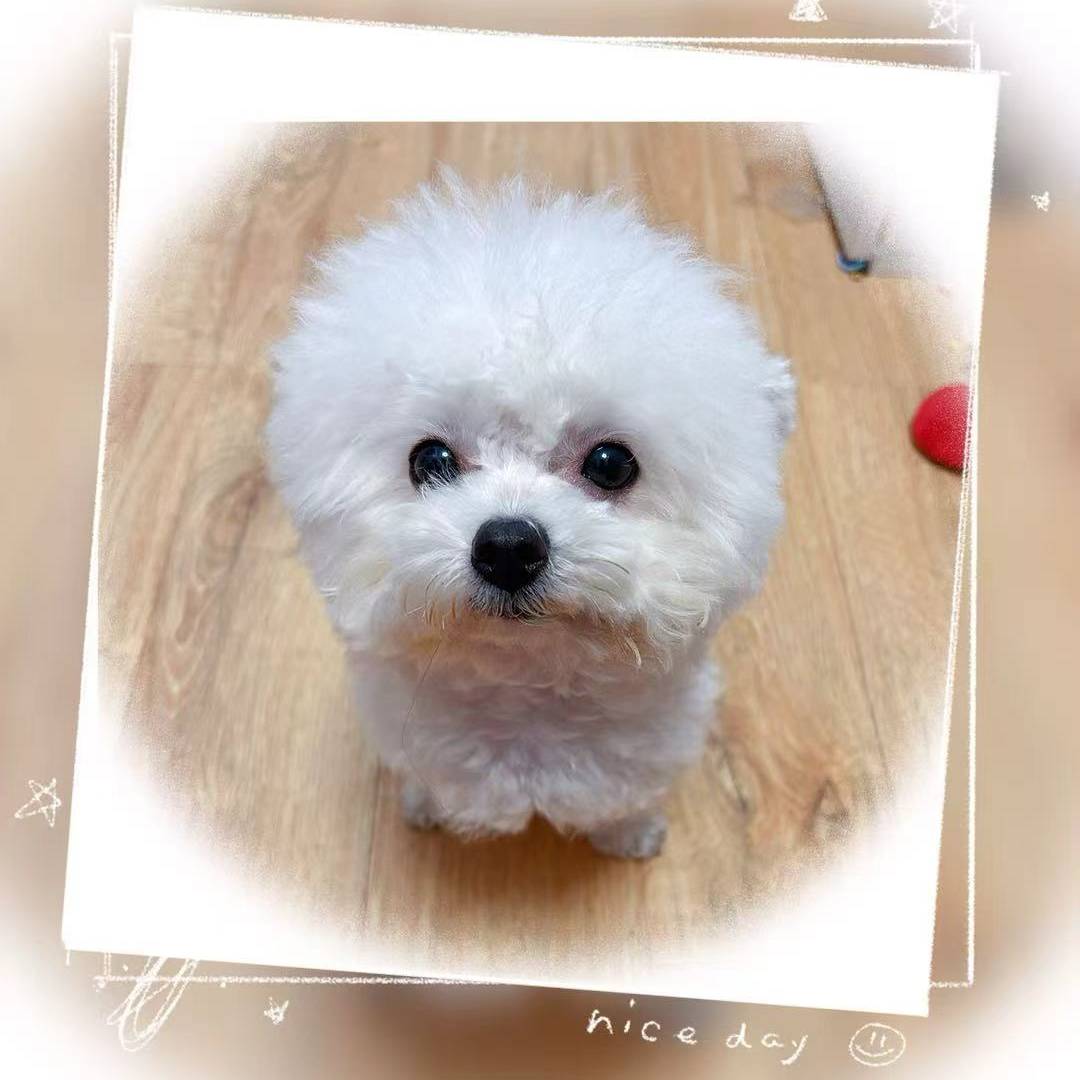 avatar of 自在Tony