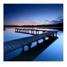 avatar of 蚂蚁搬家