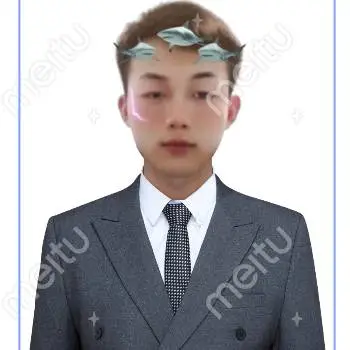 政