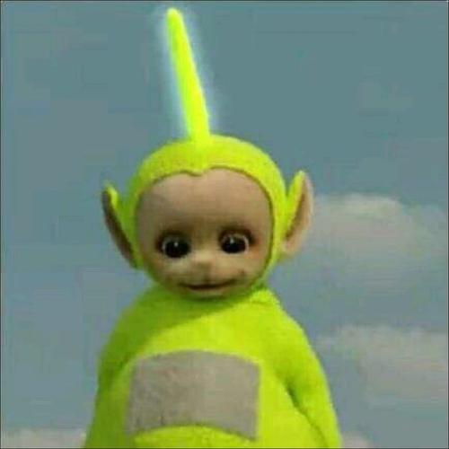 avatar of 哈士奇的猫