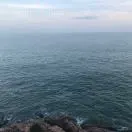 鄭