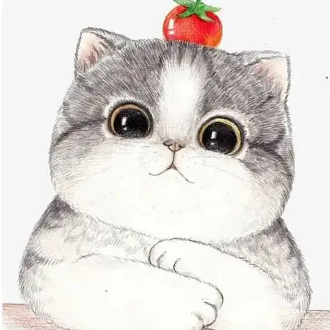 轩