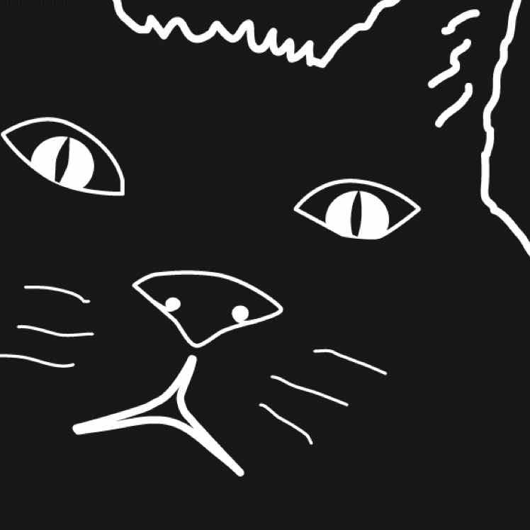 avatar of 麦德麦克斯