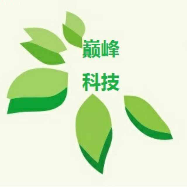 avatar of 巅峰科技