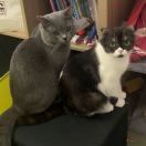 avatar of 🌈好想艺术🎨