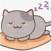 avatar of 包子是只猫