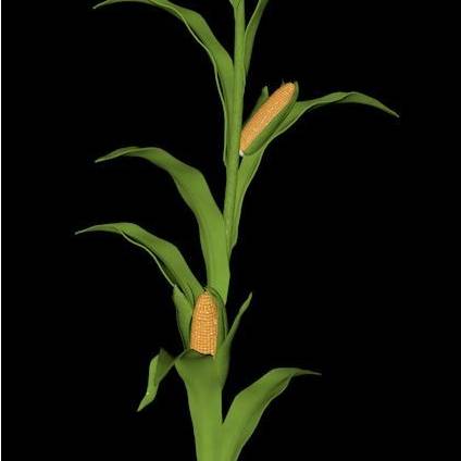 avatar of 请叫我雷锋