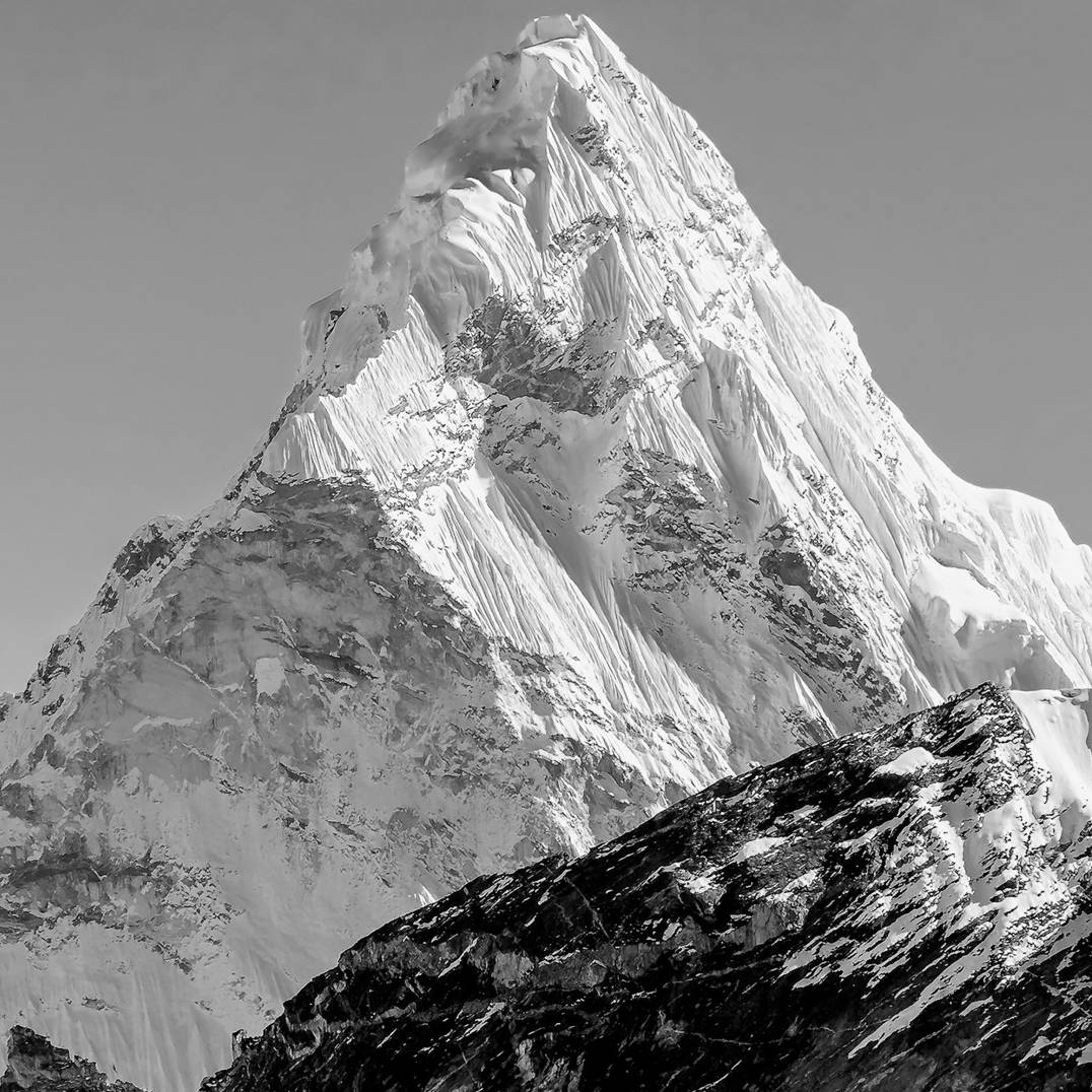 avatar of 极客同学