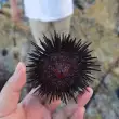 小玉的圈子