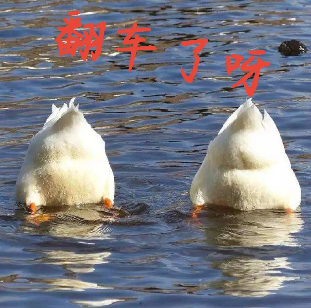 翻车现场