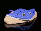 鳐鱼-0