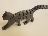 猫 关节可活动-1