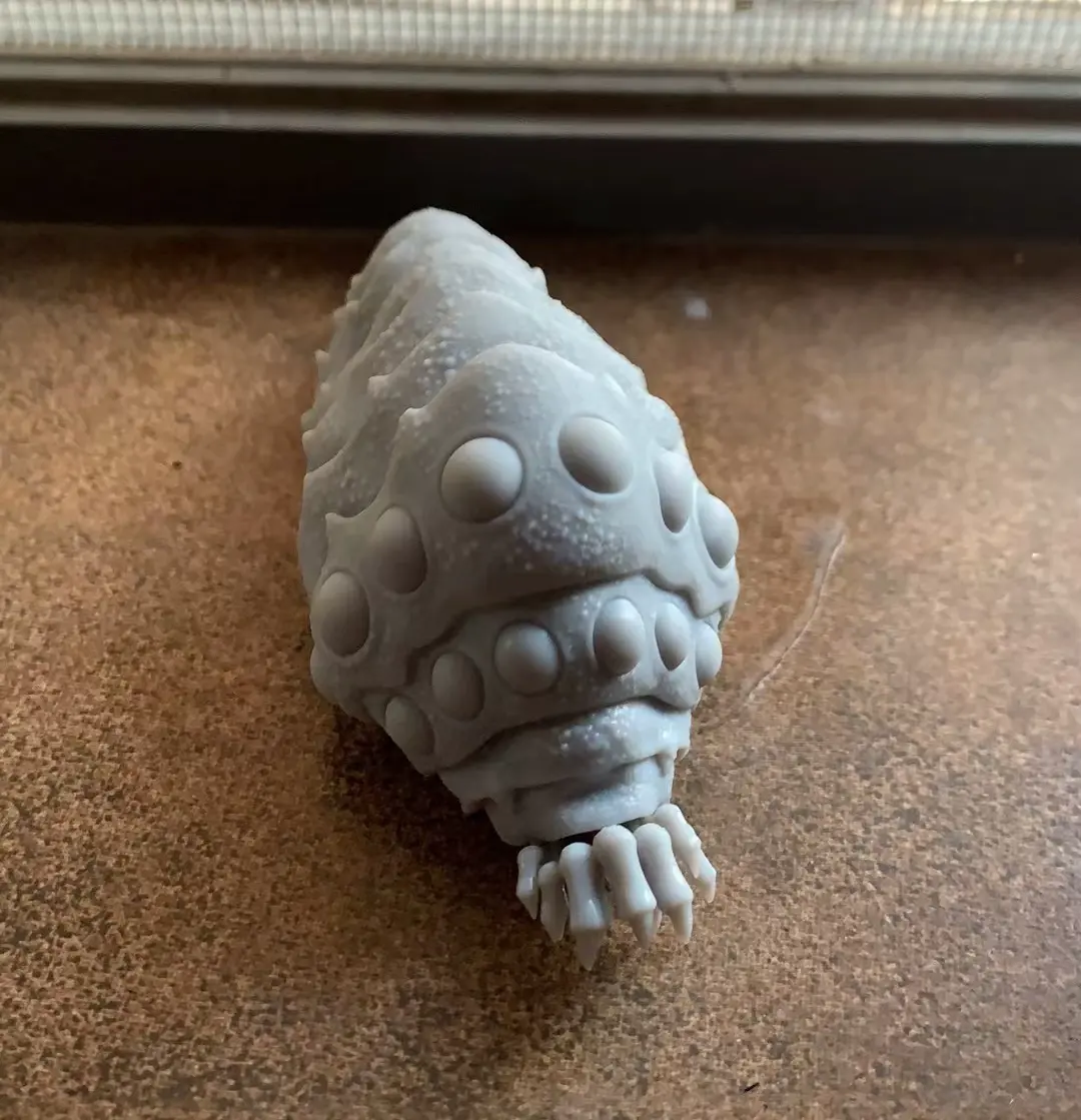 王虫
