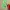 flexi可动变色龙  Flexi_Chameleon_Pencil_Attachment