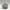 Chonk Gnome Figure
