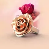 玫瑰之戒 