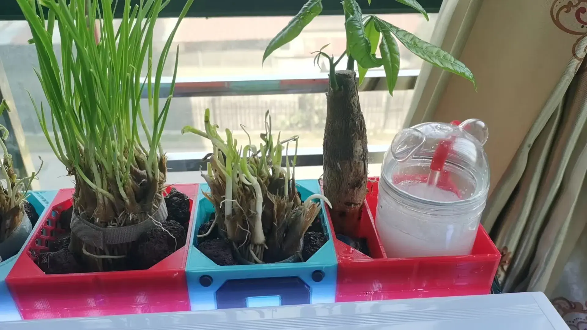 鱼缸龟缸植物水槽过滤系统-马里奥风格