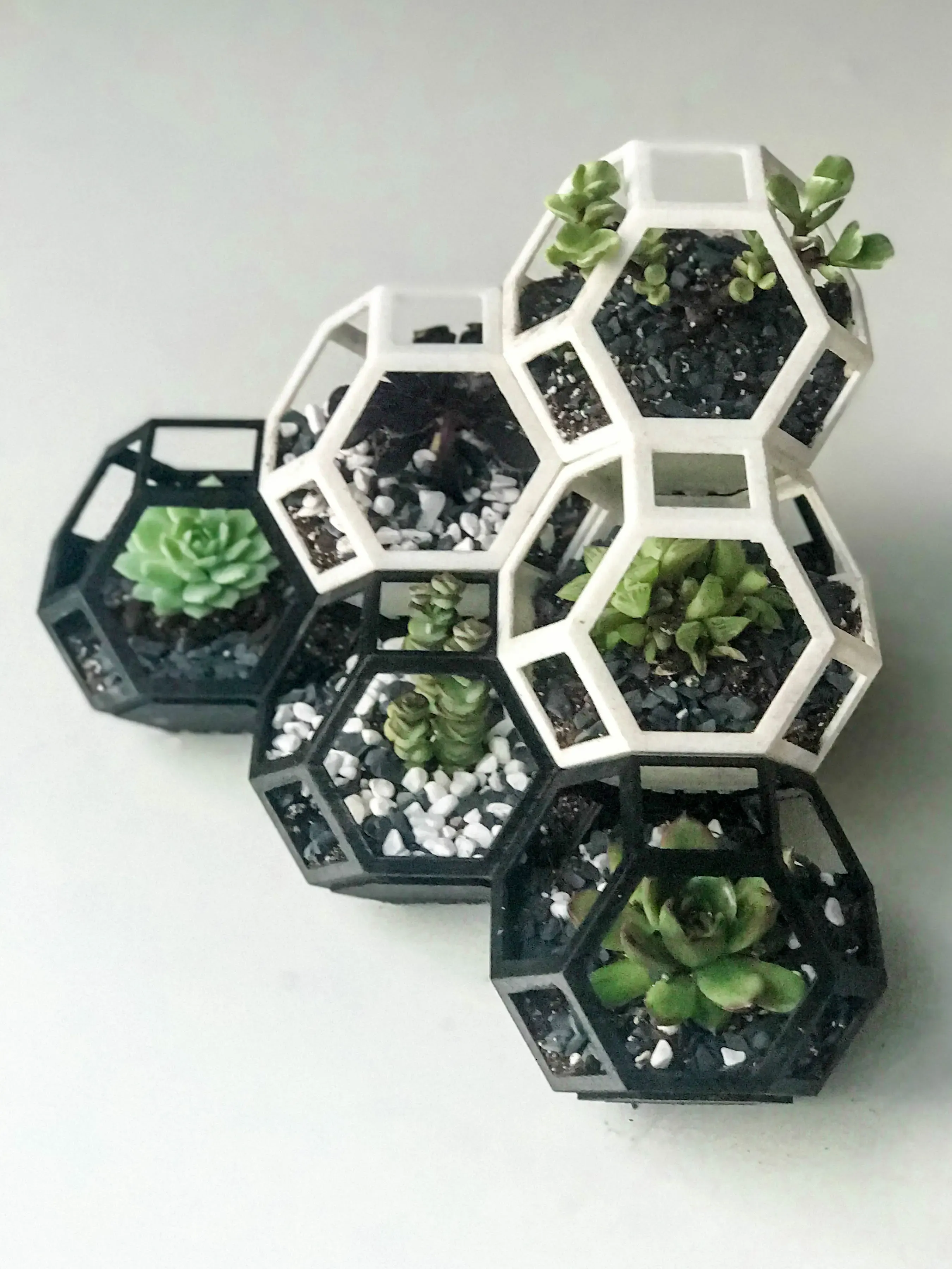 可组装多肉花盆plantygon-modular-geometric-stacking-planter