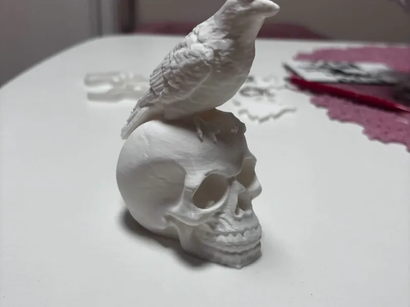 Nevermore skull with crow