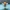 方块走地鸡我的世界minecraft可动玩具模型摆件