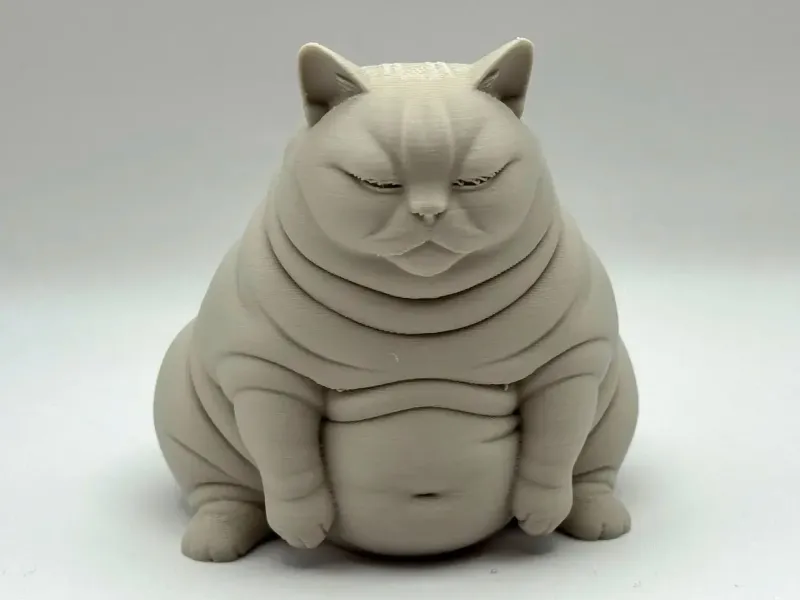 Lord Chonkington