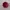 Pentagon flower pot – Pot de fleur Pentagone