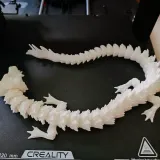 龙