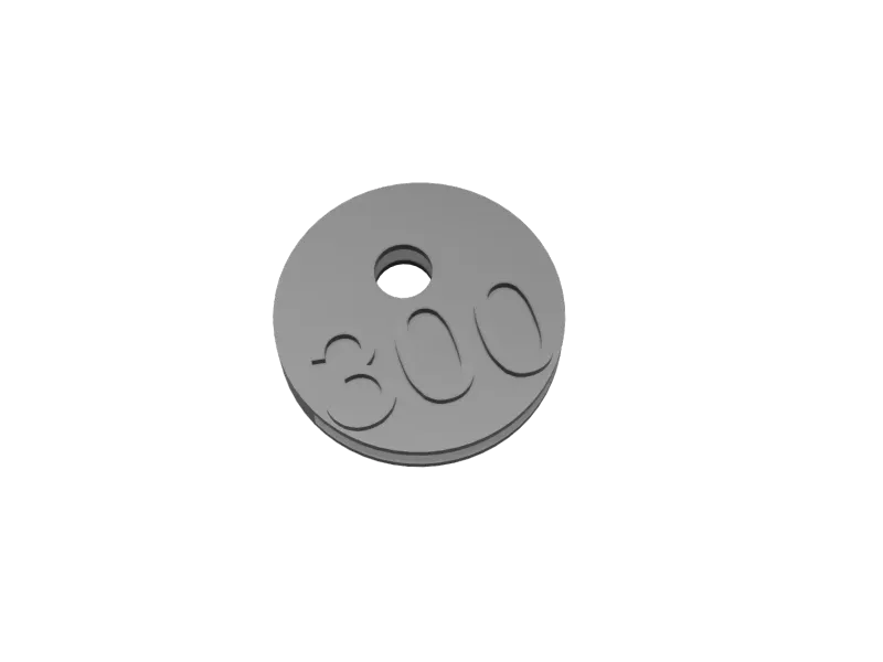 key cover 300 v1