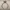 戒指7