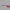 right rod glasses with heart