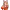 小兔子红灯笼