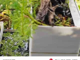 鱼缸过滤-1