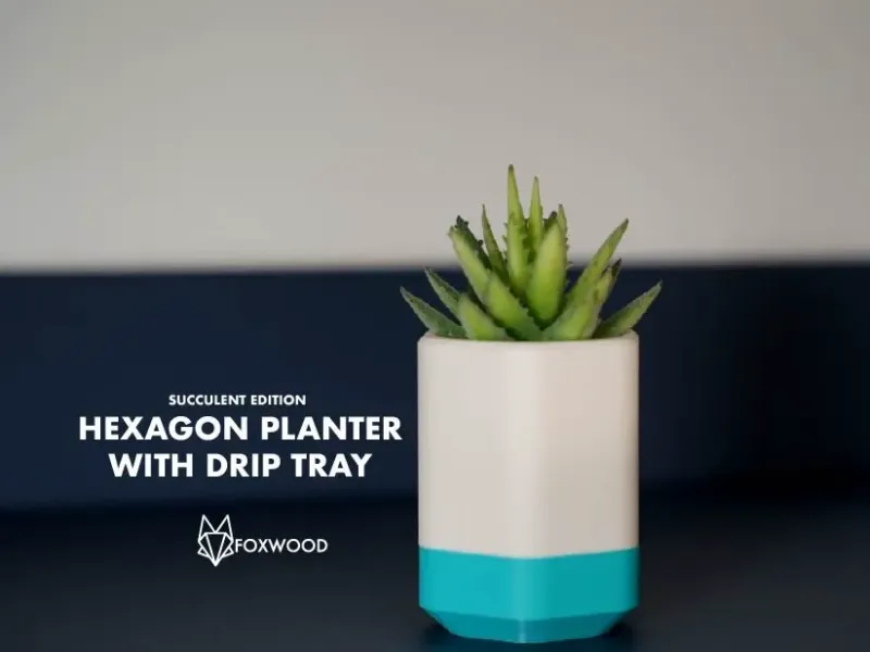 Hexagon Planter with Drip Tray Succulent Edition